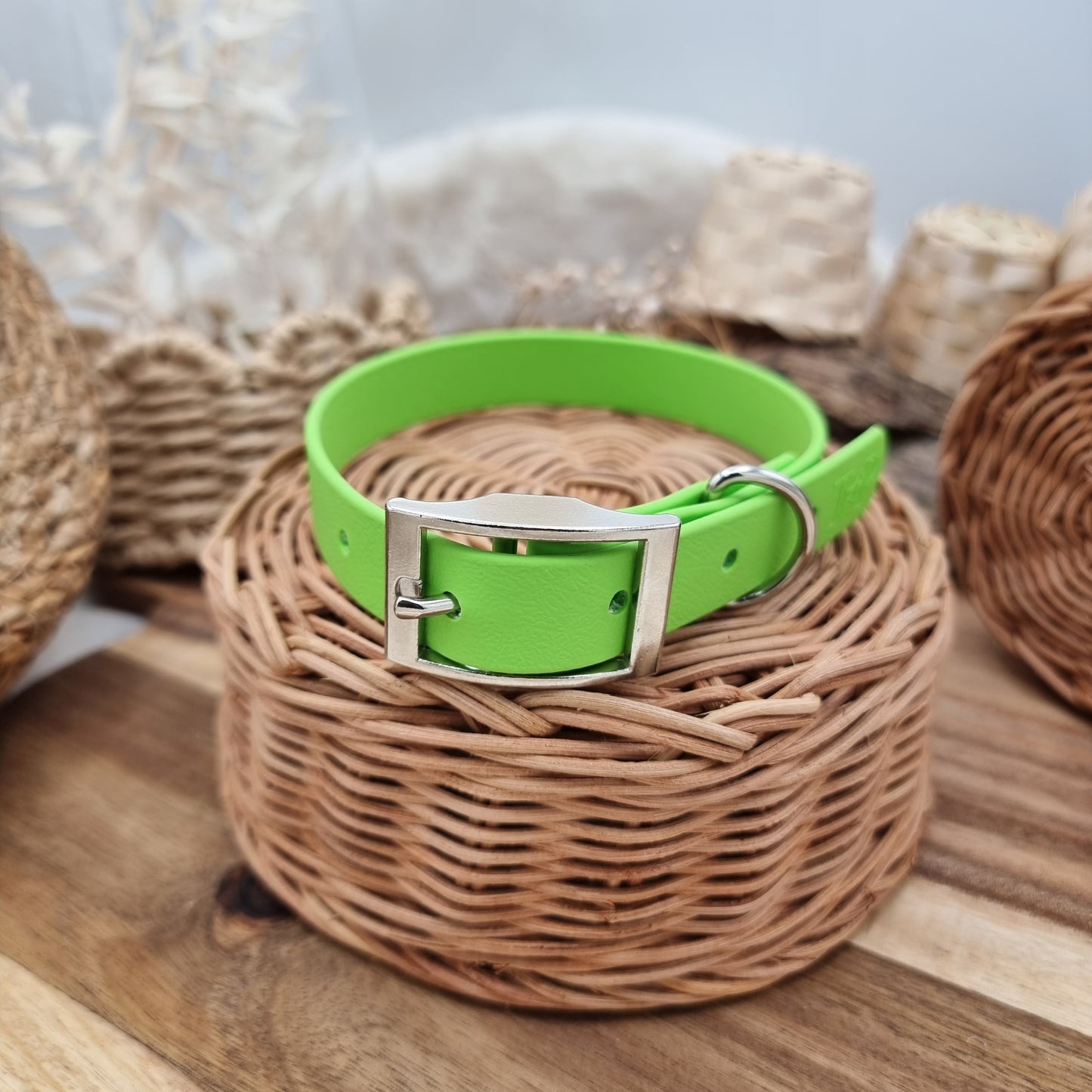 Apple (SI) - Size M Biothane Dog Collar