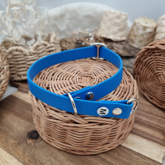 Blue - Size Medium - Biothane Dog Slip Collar