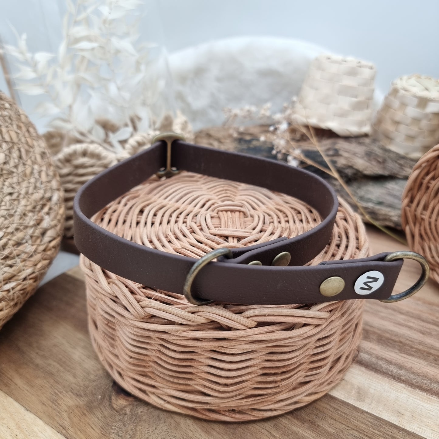 Dark Brown - Size Medium - Biothane Dog Slip Collar