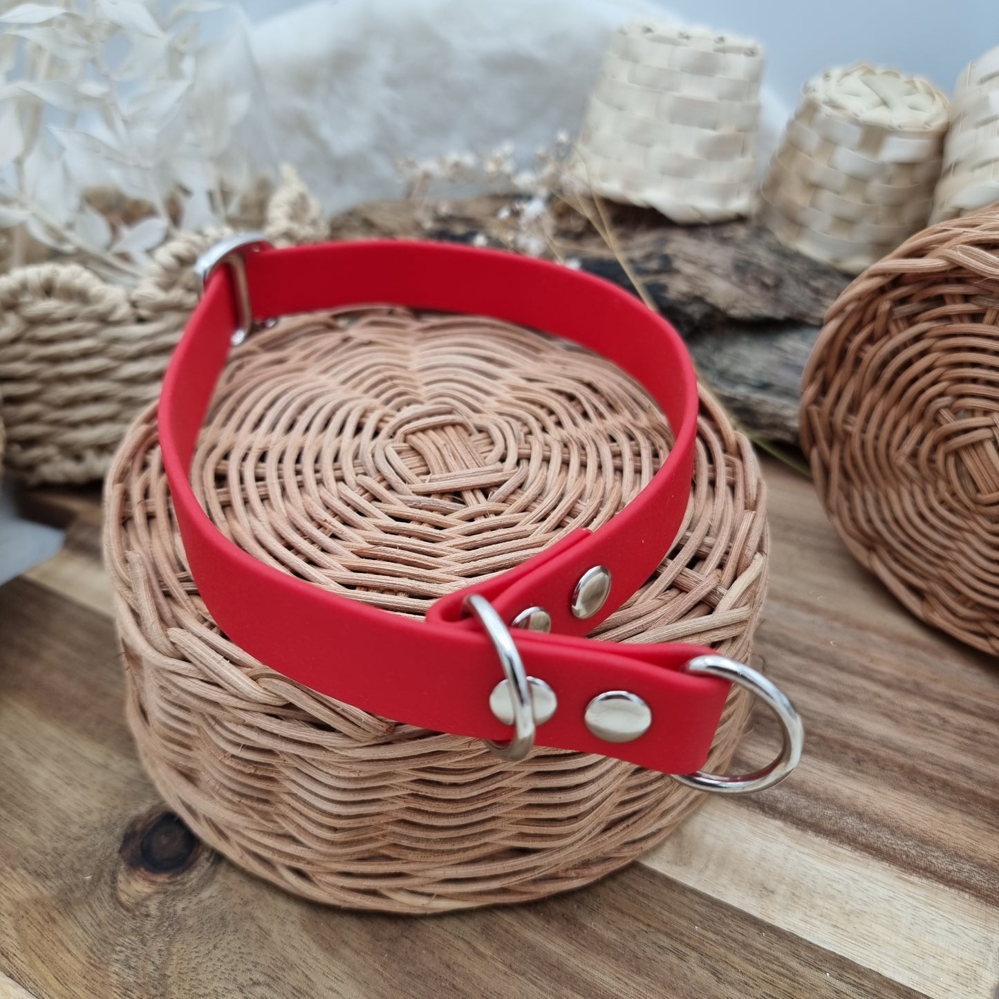 Red - Size Medium - Biothane Dog Slip Collar