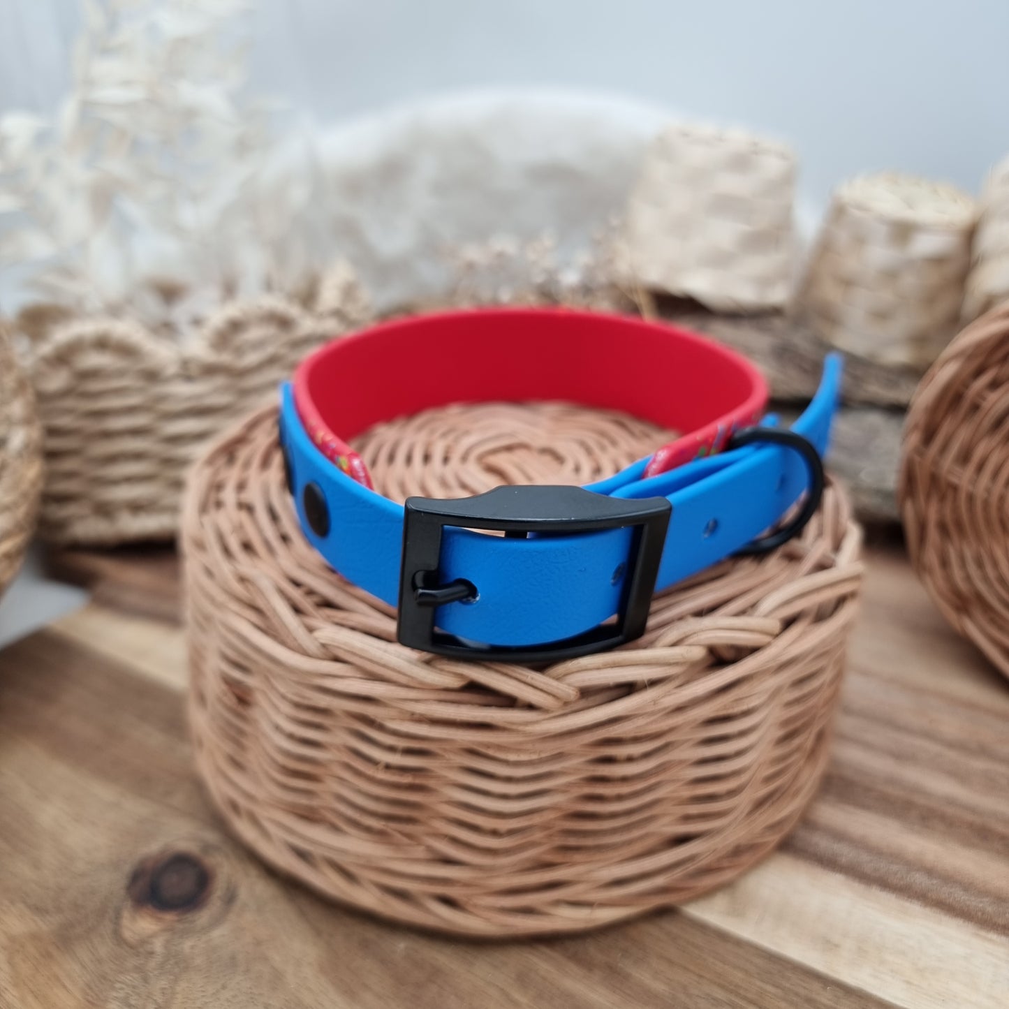 Red & Blue Splash (BL) Size Medium* - two-coloured Biothane Dog Collar