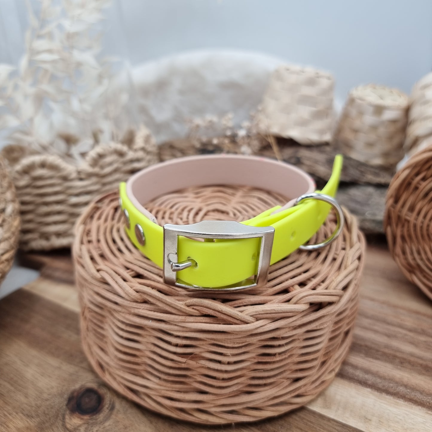 Nude Splash & Neon Yellow - two-coloured Biothane Dog Collar