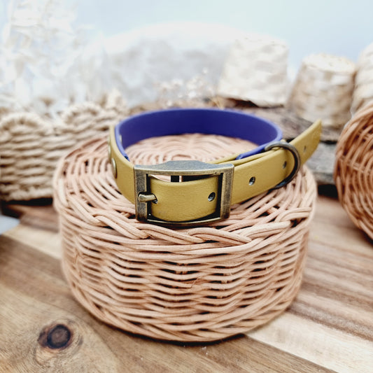 Purple & Gold (AB) Size Medium - two-coloured Biothane Dog Collar