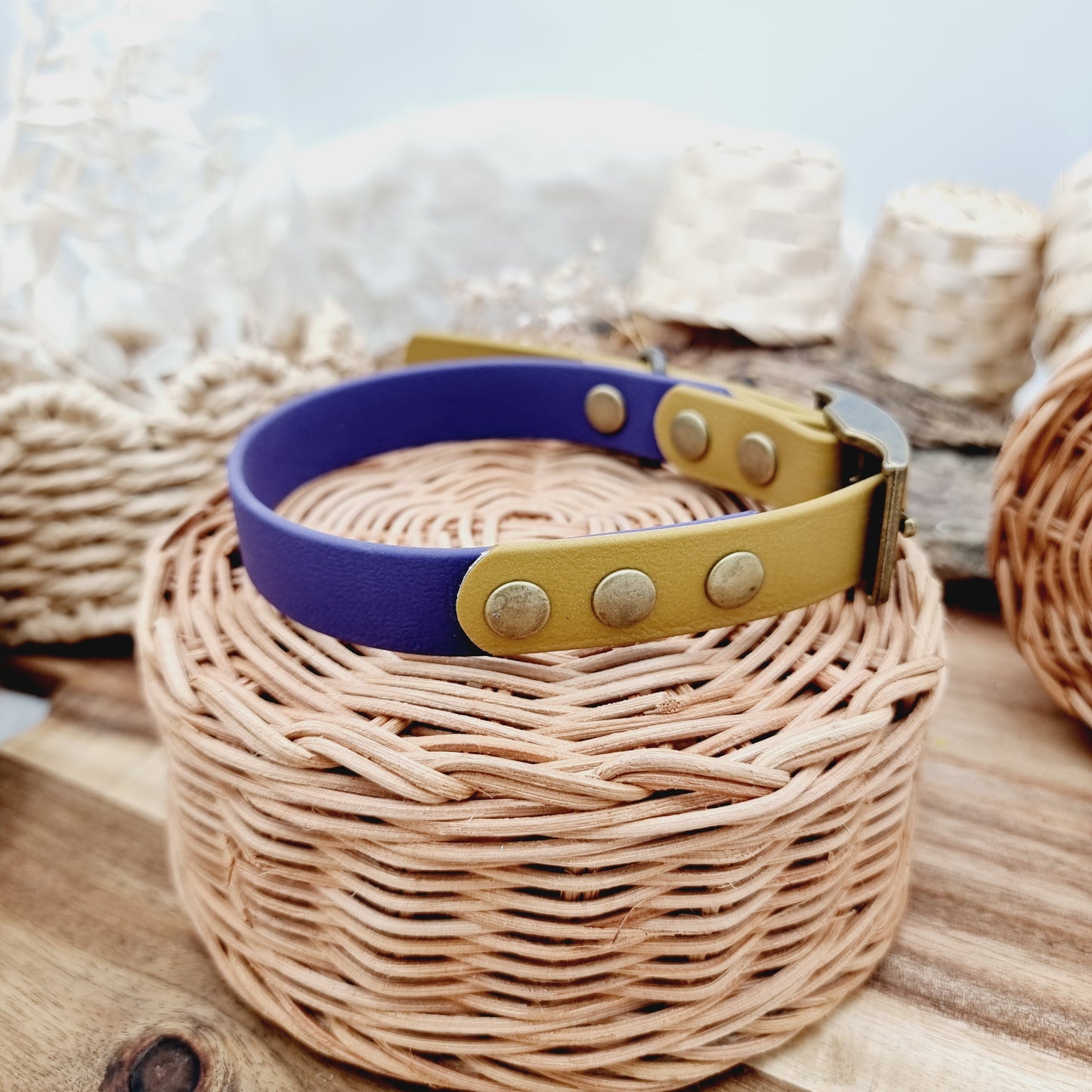 Purple & Gold (AB) Size Medium - two-coloured Biothane Dog Collar