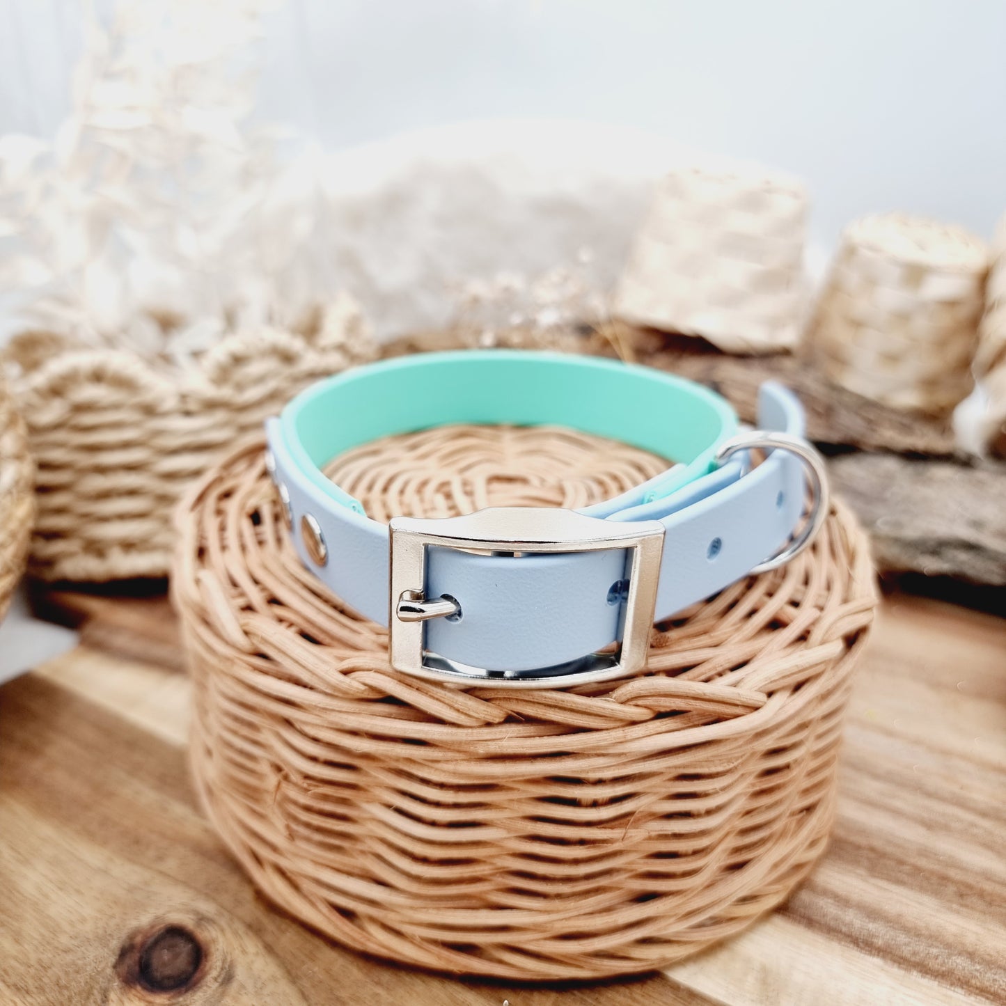 Mint & Baby Blue (SI) Size Medium - two-coloured Biothane Dog Collar