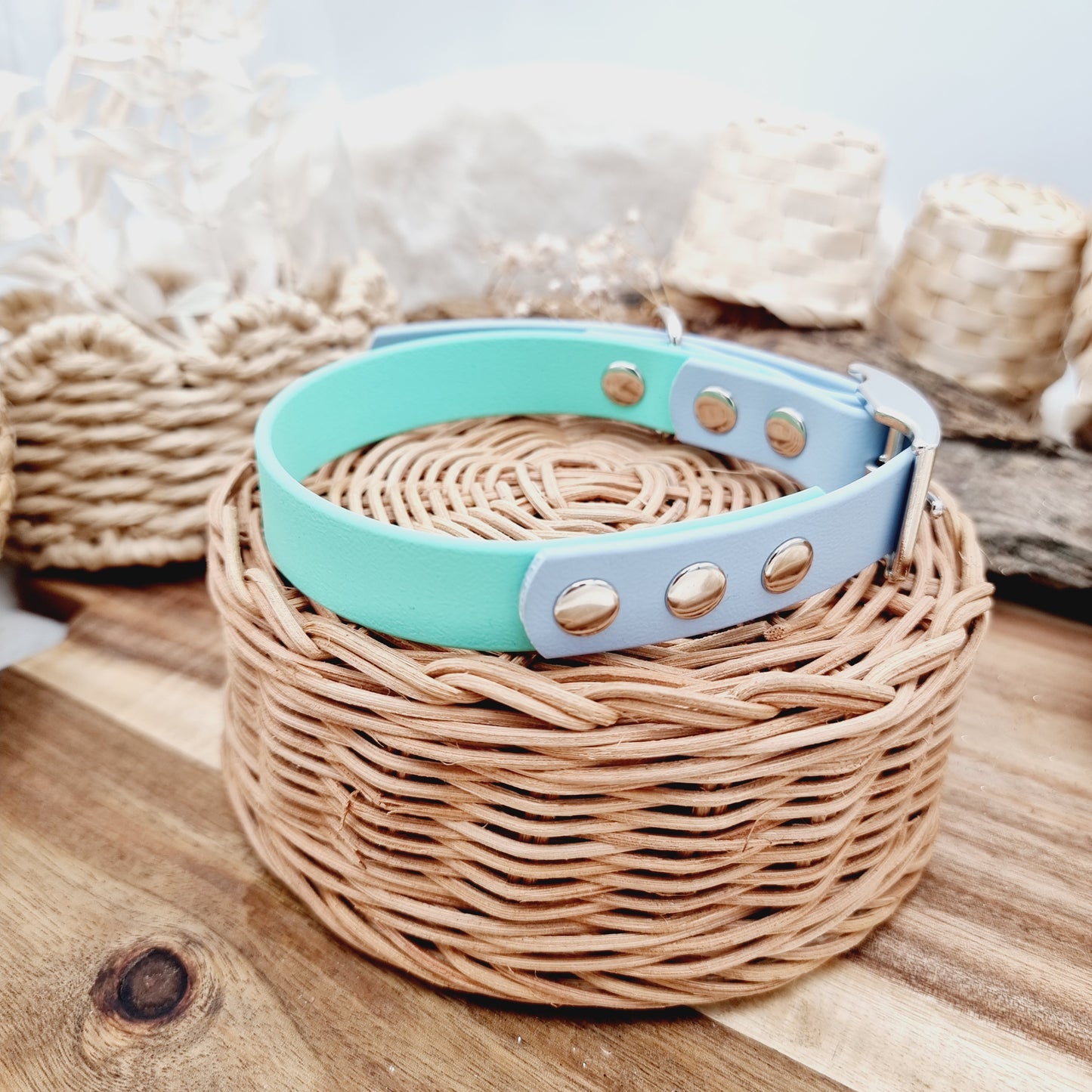 Mint & Baby Blue (SI) Size Medium - two-coloured Biothane Dog Collar