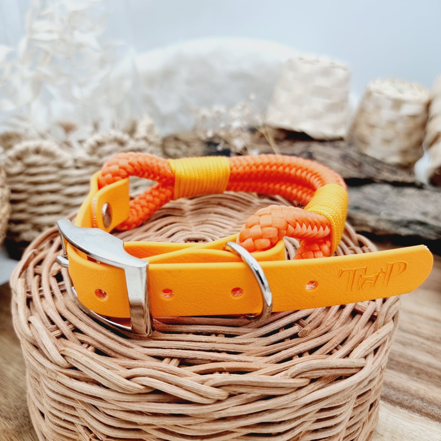 Orange (Size Medium) - Rope Biothane Dog Collar