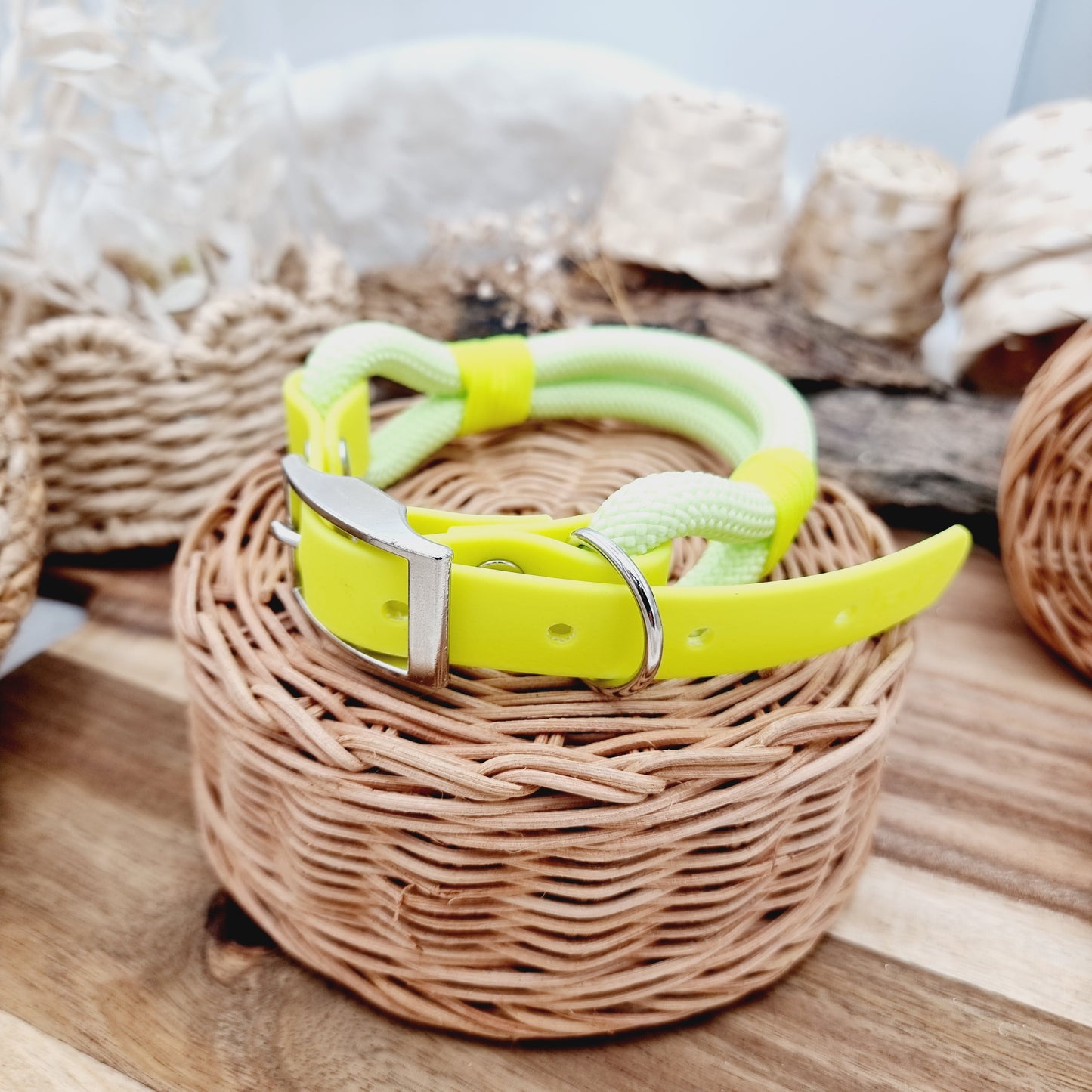 Neon Yellow (Size Medium) - Rope Biothane Dog Collar