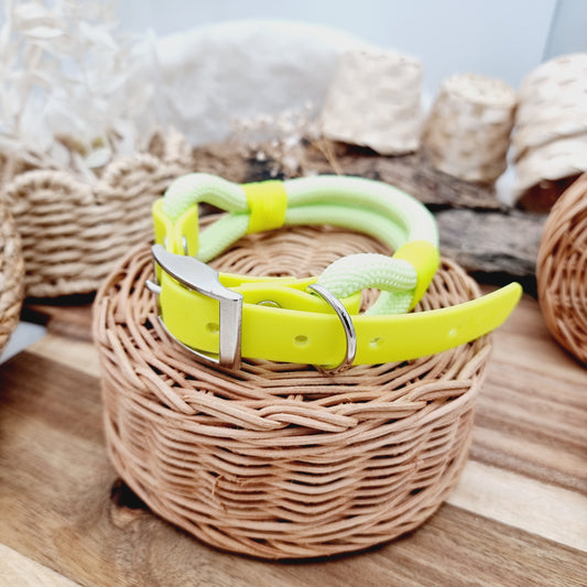 Neon Yellow (Size Medium) - Rope Biothane Dog Collar