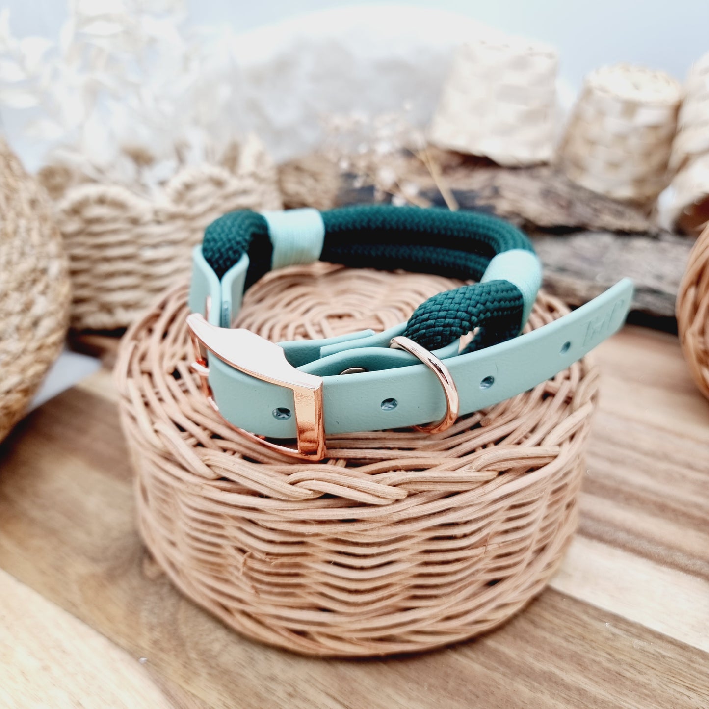 Dark Green & Sage (Size Medium) - Rope Biothane Dog Collar