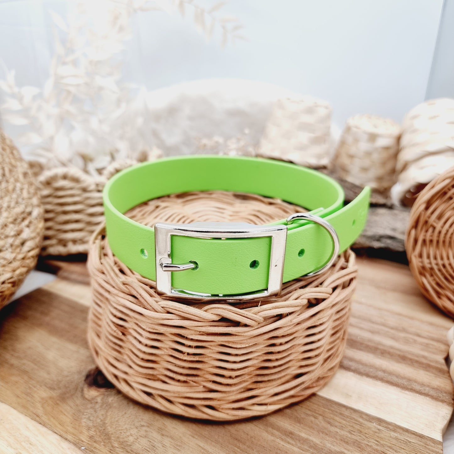 Apple (SI) - Size L Biothane Dog Collar