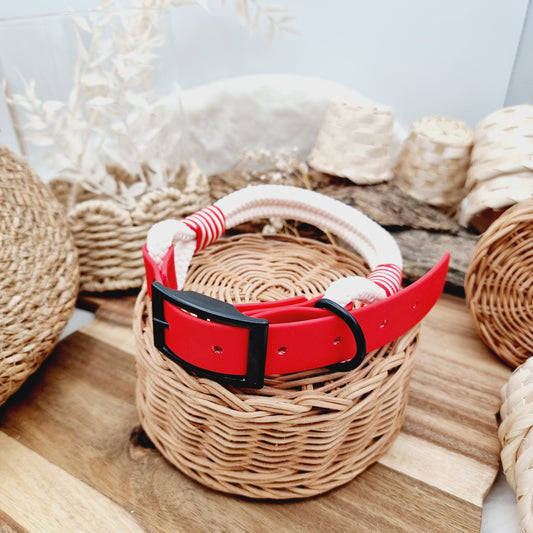 Cream & Red (Size Large) - Rope Biothane Dog Collar