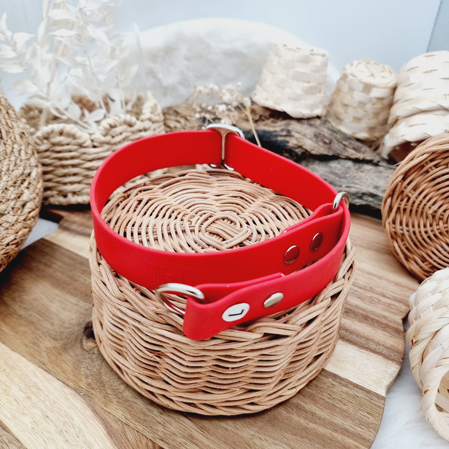 Red - Size Large - Biothane Dog Slip Collar