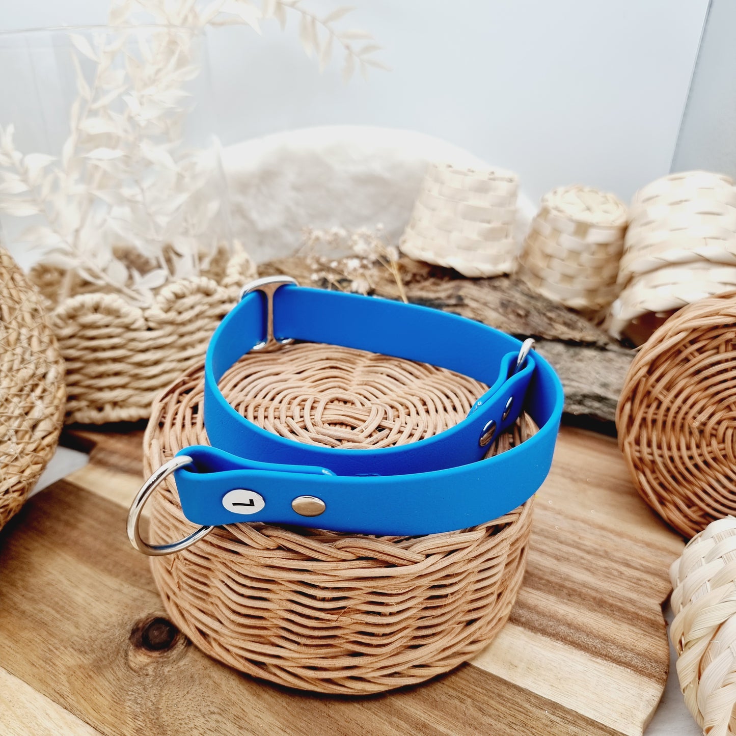 Blue - Size Large - Biothane Dog Slip Collar