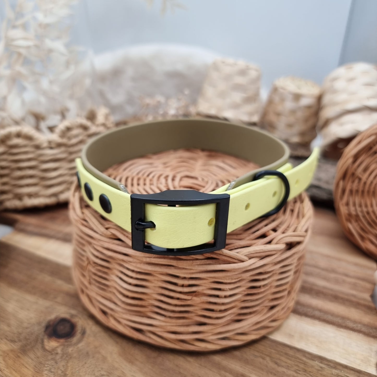 Clay & Lemon (BL) Size L - two-coloured Biothane Dog Collar