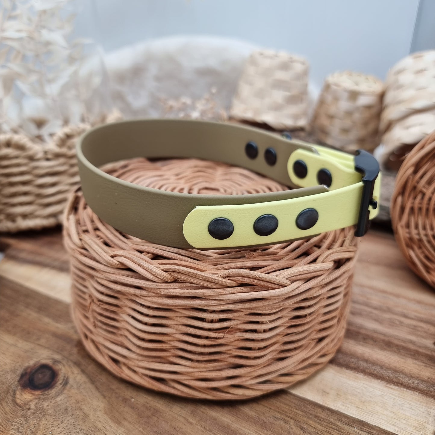 Clay & Lemon (BL) Size L - two-coloured Biothane Dog Collar