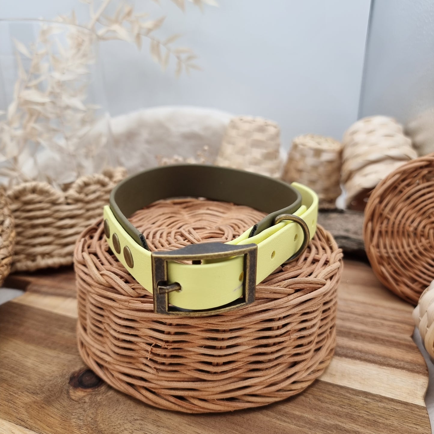 Olive & Lemon (AB) Size L *slight imperfection - two-coloured Biothane Dog Collar