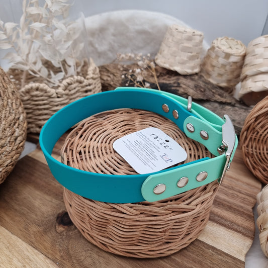 Teal & Mint (SI) Size L/XL (17-21") - two-coloured Biothane Dog Collar