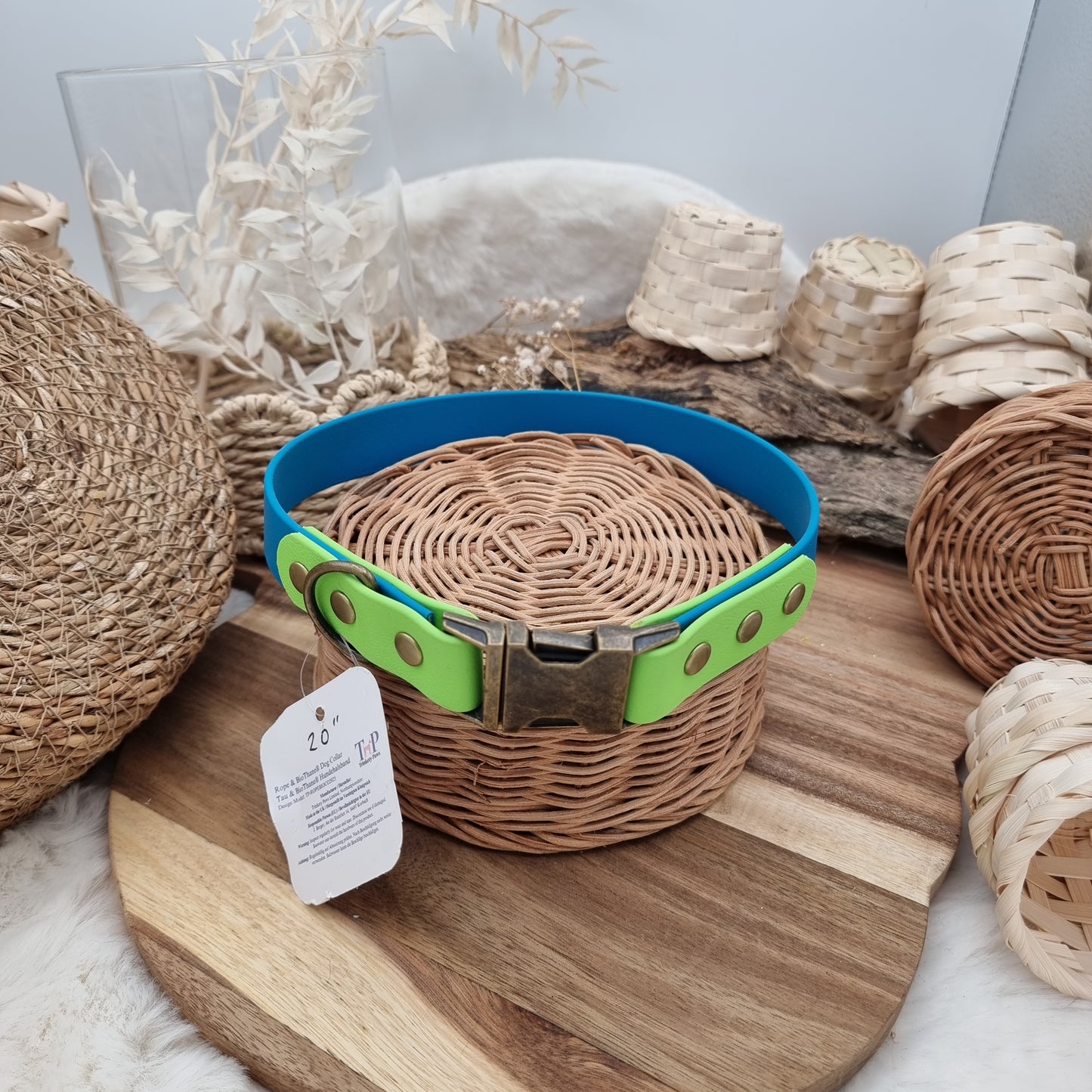 Biothane Dog Collar (fixed size) - Lagune/AppleGreen (AB) - (Fits Neck Size 19" Range L)