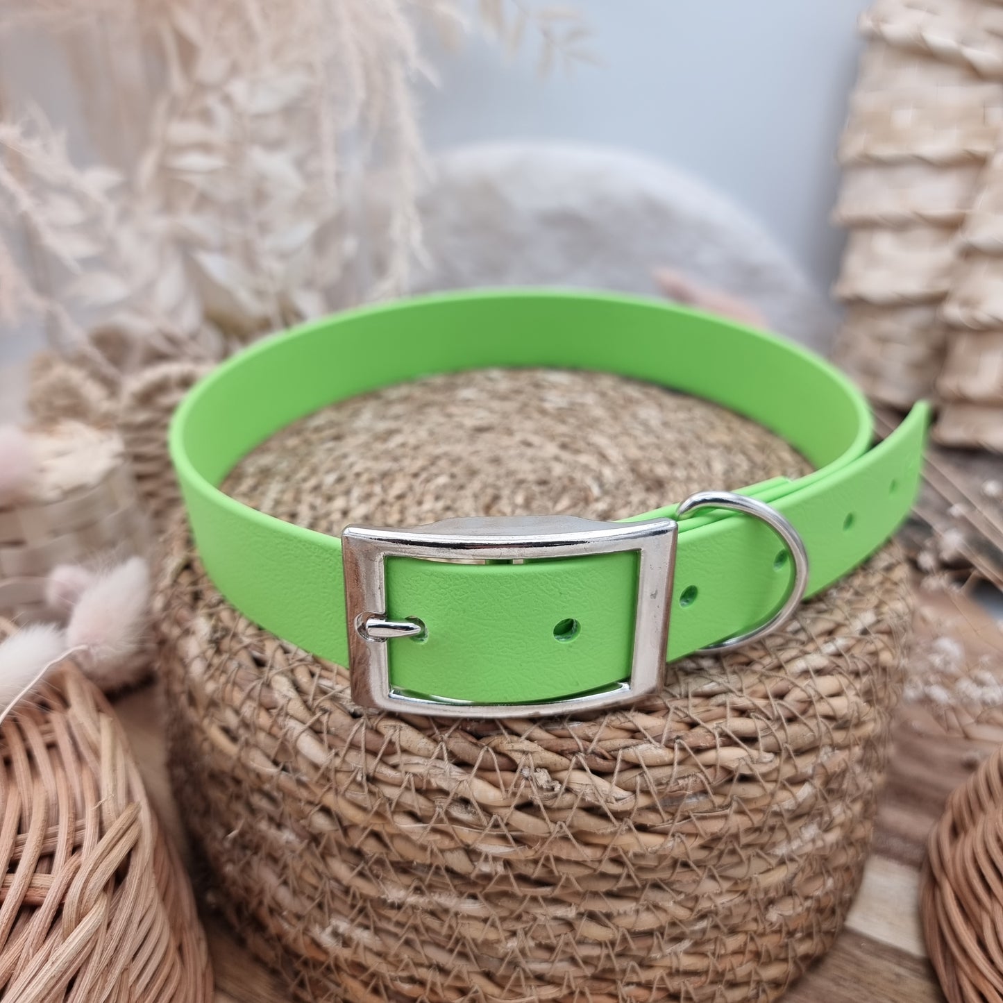 Apple (SI) - Size XL Biothane Dog Collar