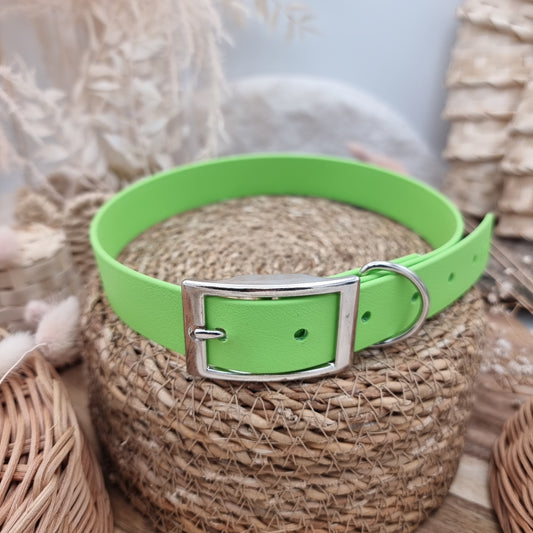 Apple (SI) - Size XL Biothane Dog Collar