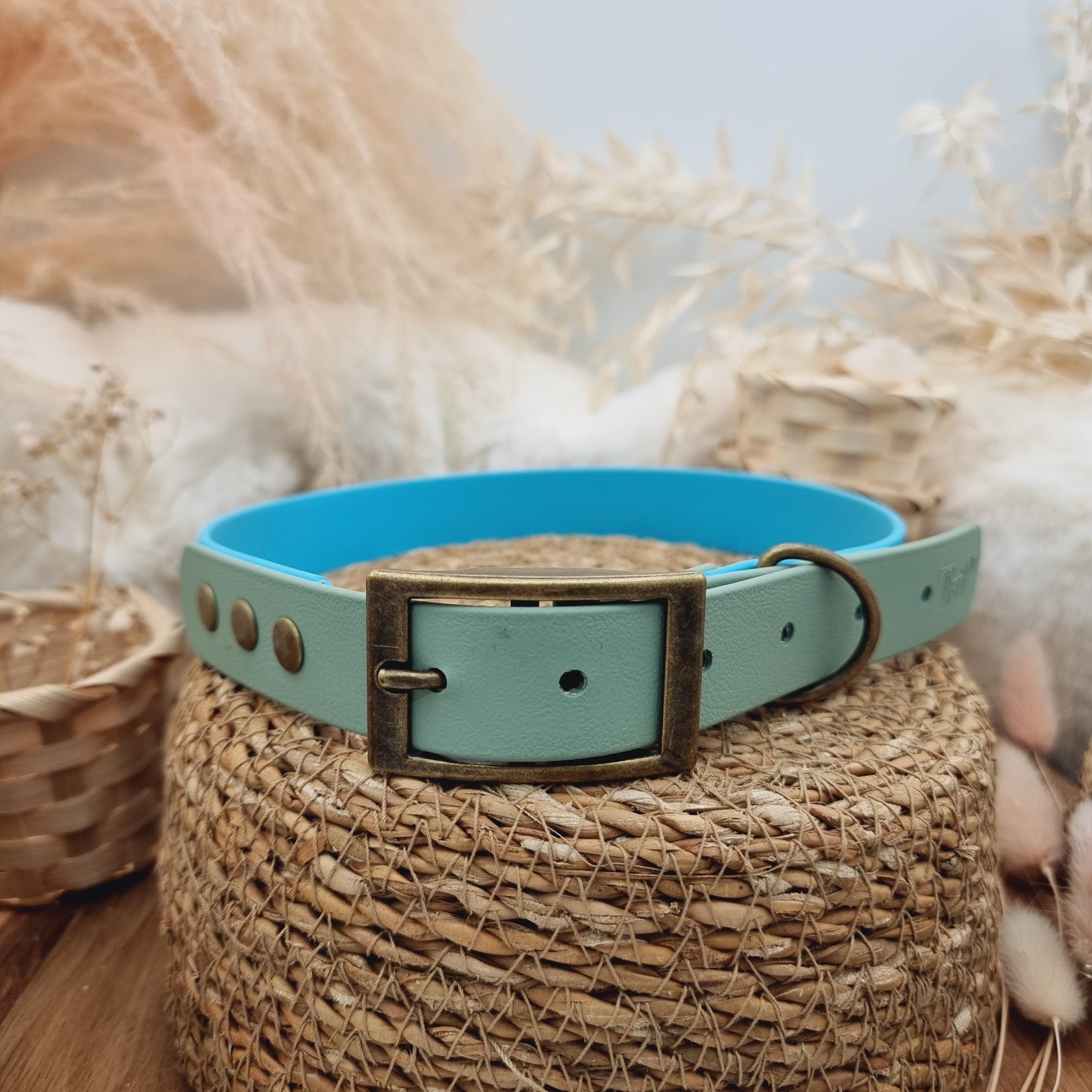 Neon Blue & Sage (AB) Size XL - two-coloured Biothane Dog Collar