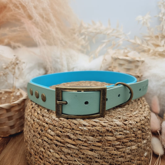 Neon Blue & Sage (AB) Size XL - two-coloured Biothane Dog Collar