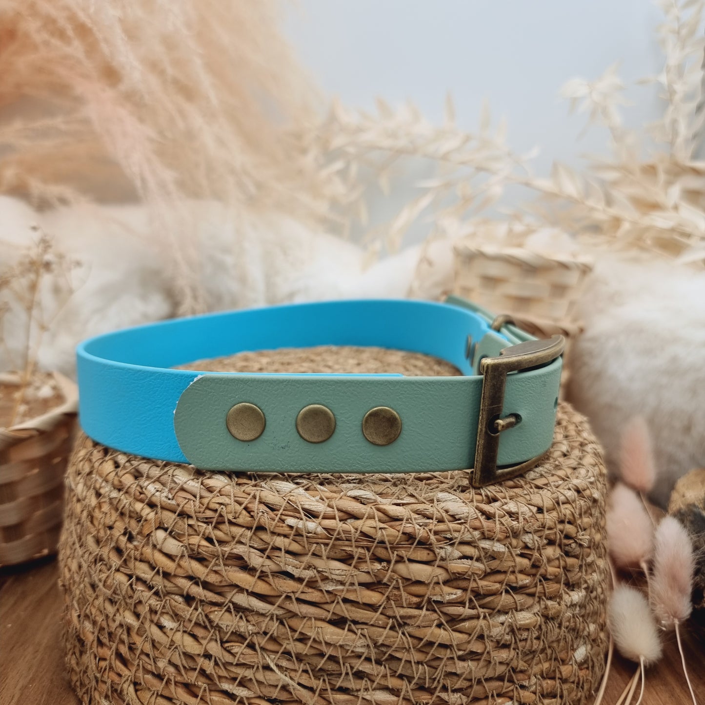 Neon Blue & Sage (AB) Size XL - two-coloured Biothane Dog Collar