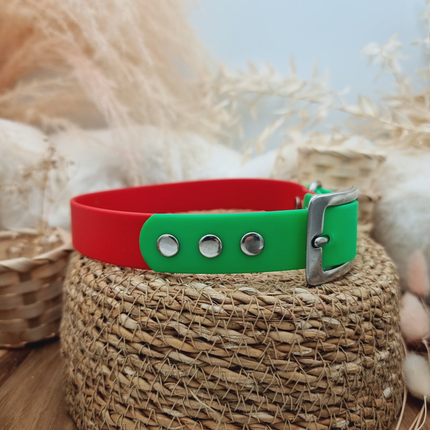 Red & Neon Green (SS) Size XL - two-coloured Biothane Dog Collar