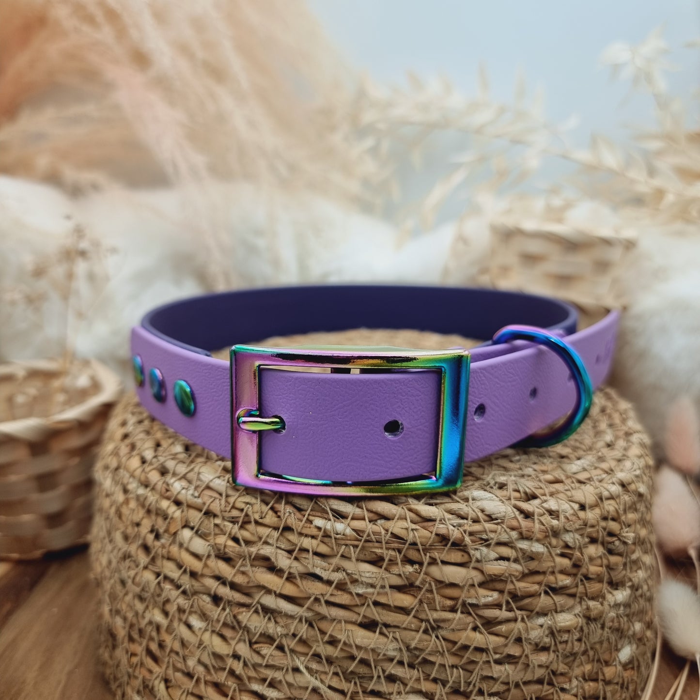 Purple & Amethyst (RB) Size XL - two-coloured Biothane Dog Collar