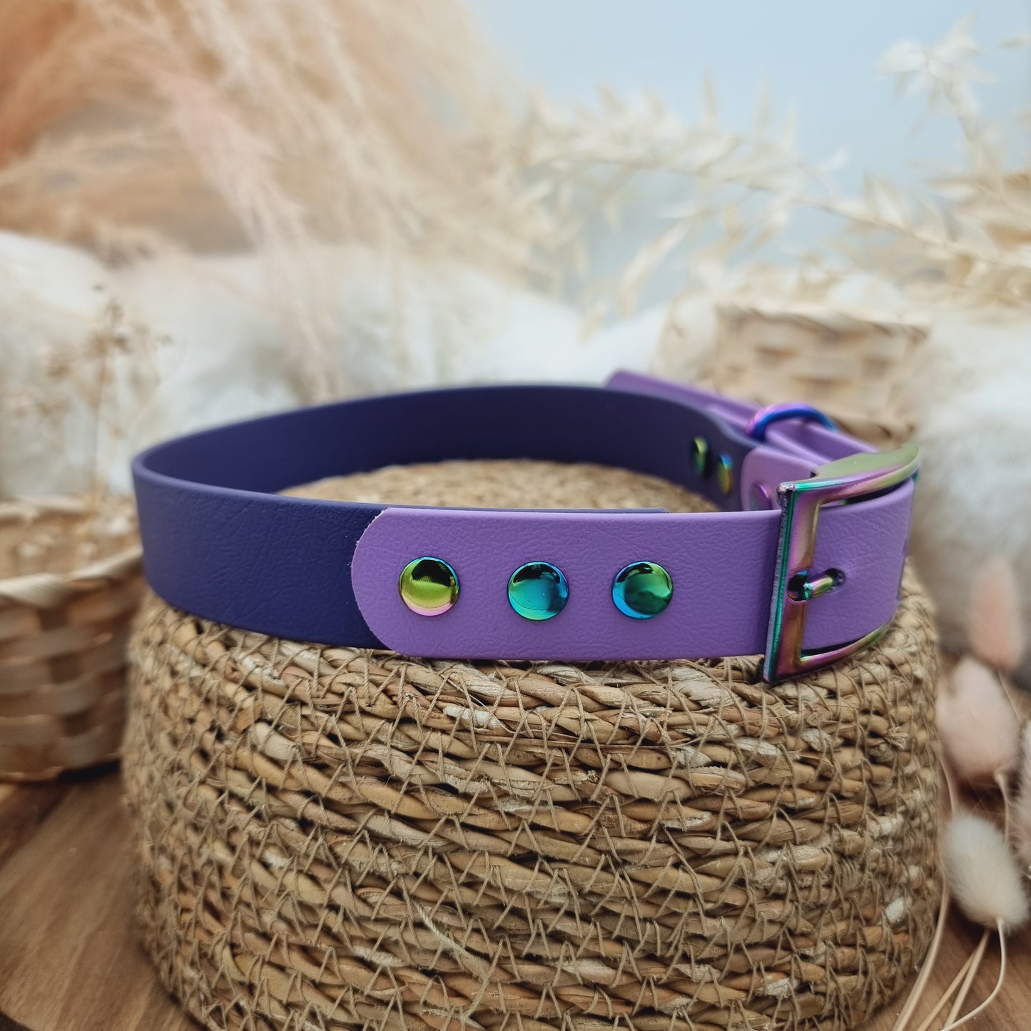 Purple & Amethyst (RB) Size XL - two-coloured Biothane Dog Collar