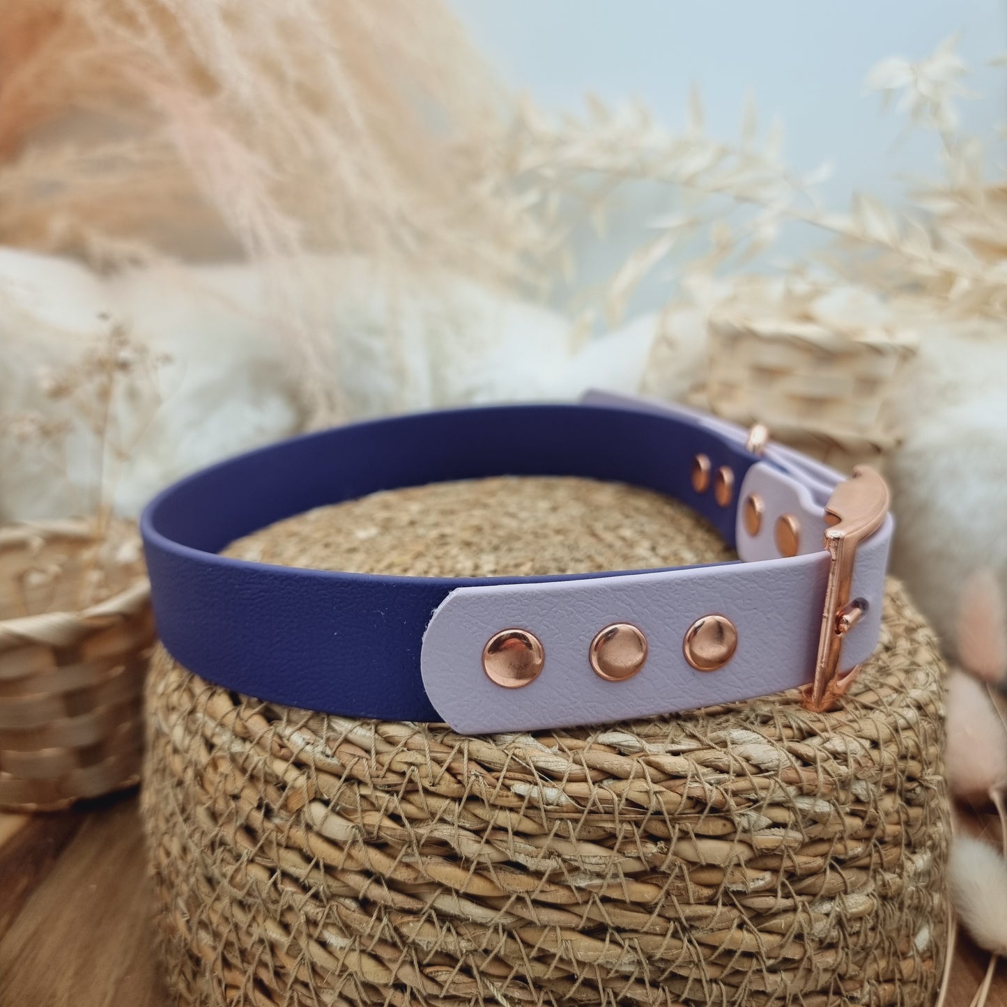 Purple & Lilac (RG) Size XL - two-coloured Biothane Dog Collar