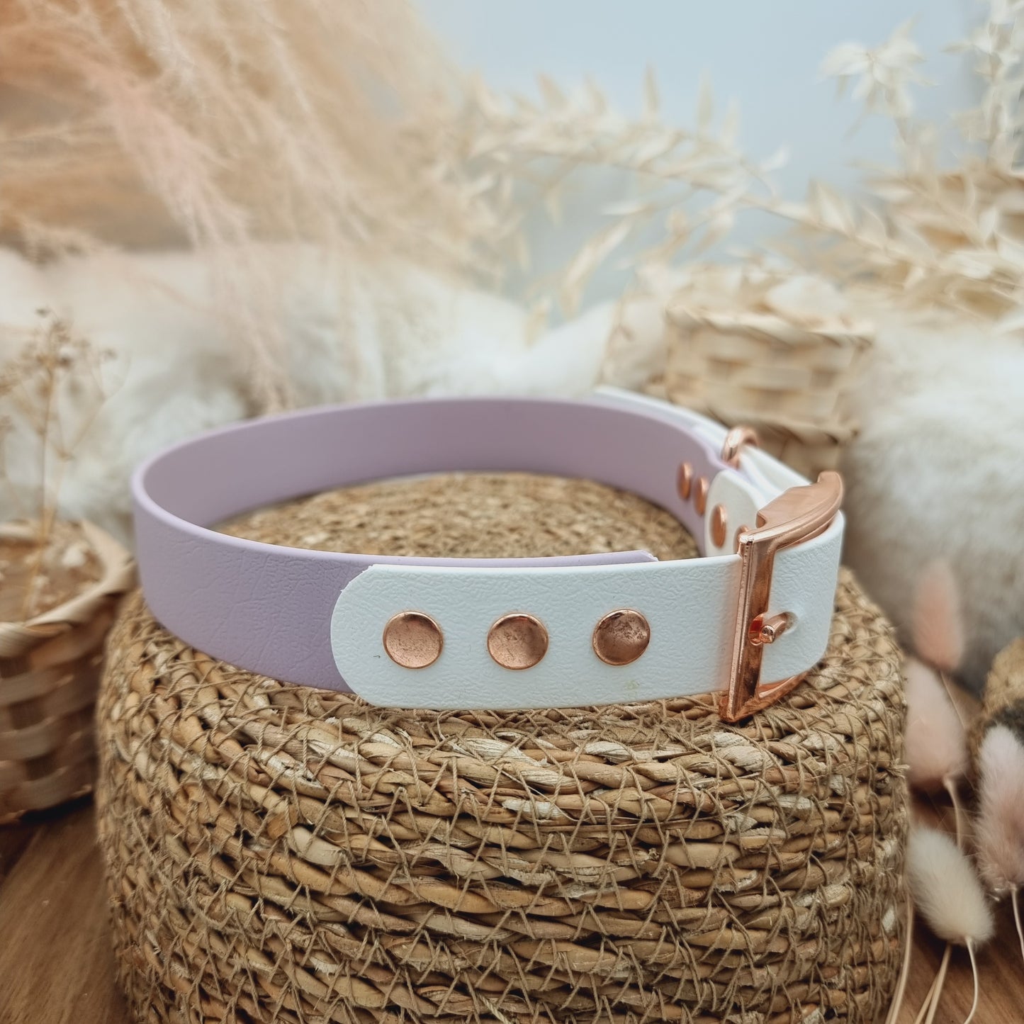 Lilac & White (RG) Size XL - two-coloured Biothane Dog Collar