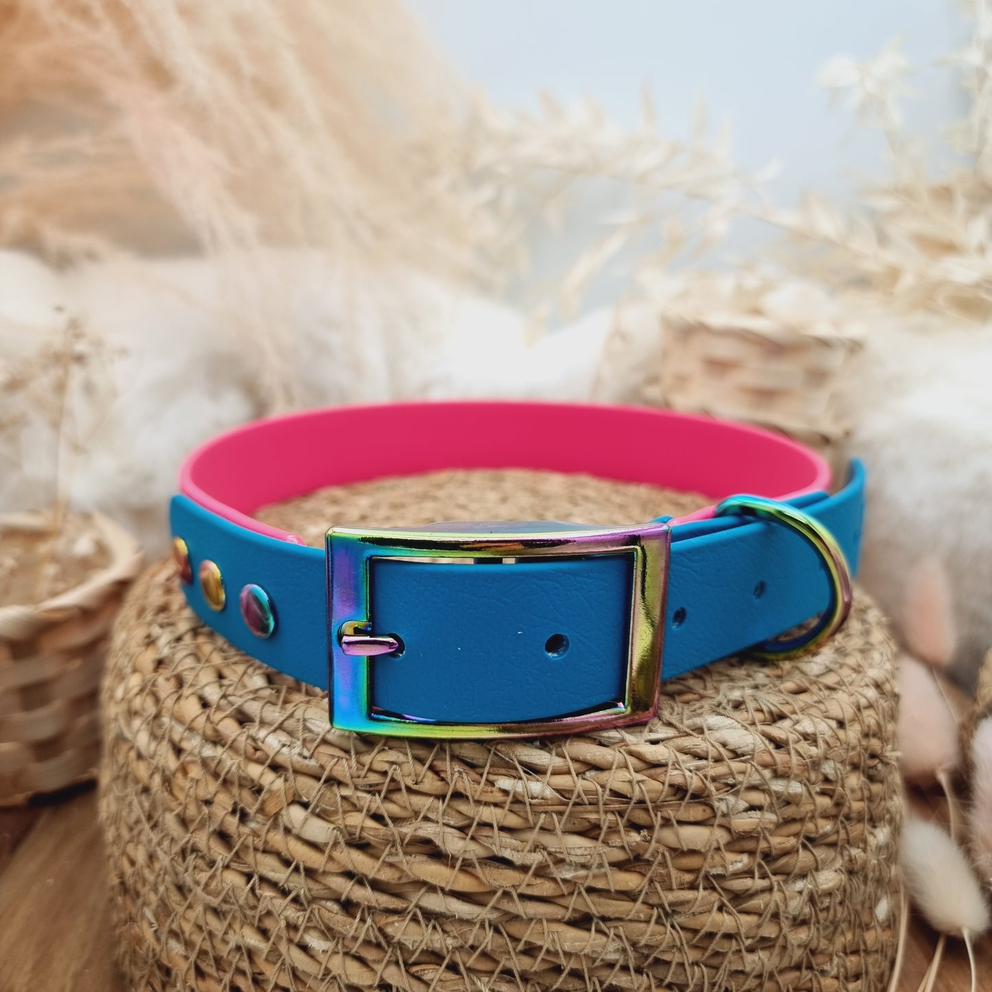 Passion Pink & Lagune (RB) Size XL - two-coloured Biothane Dog Collar