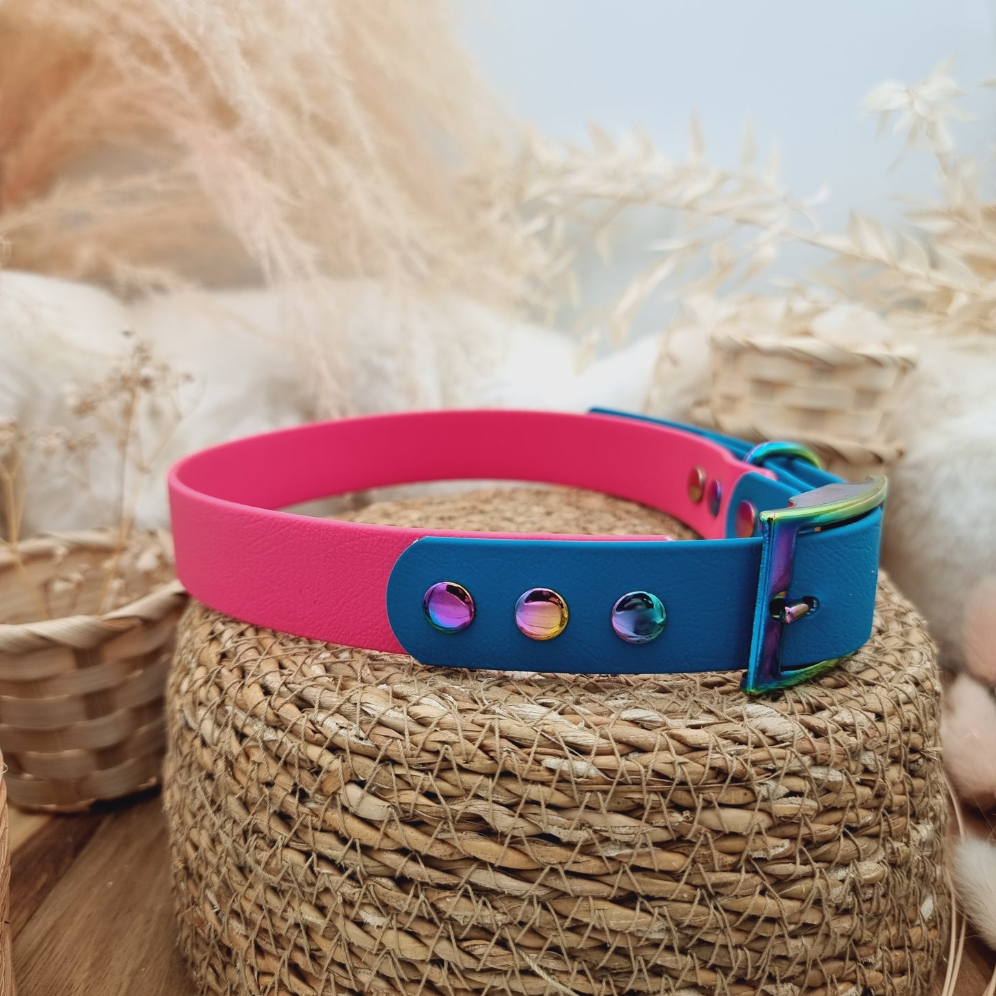 Passion Pink & Lagune (RB) Size XL - two-coloured Biothane Dog Collar