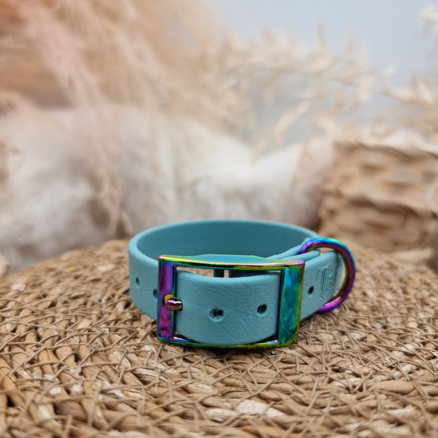 Duckegg - Size XXS (16mm) - Mini Biothane Dog Collar