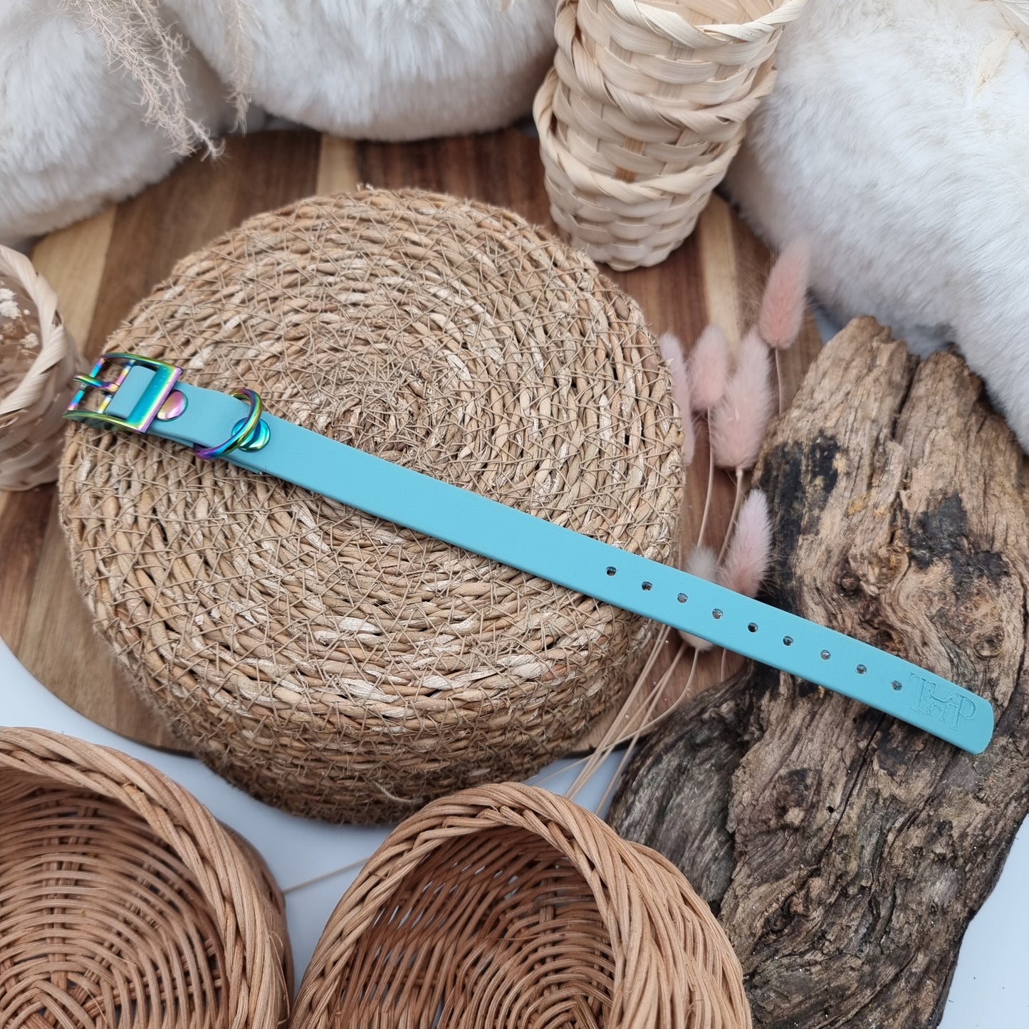 Duckegg - Size XXS (16mm) - Mini Biothane Dog Collar