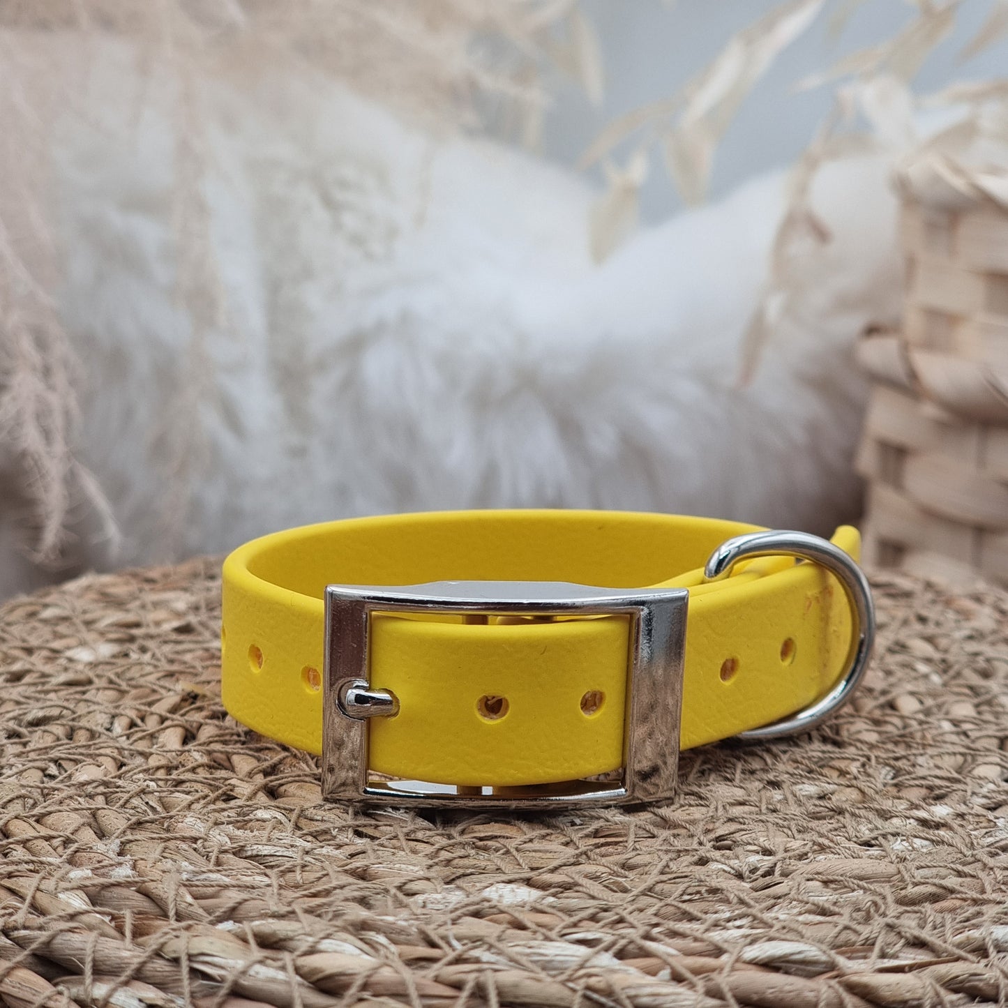 Yellow - Size XXS (16mm) - Mini Biothane Dog Collar