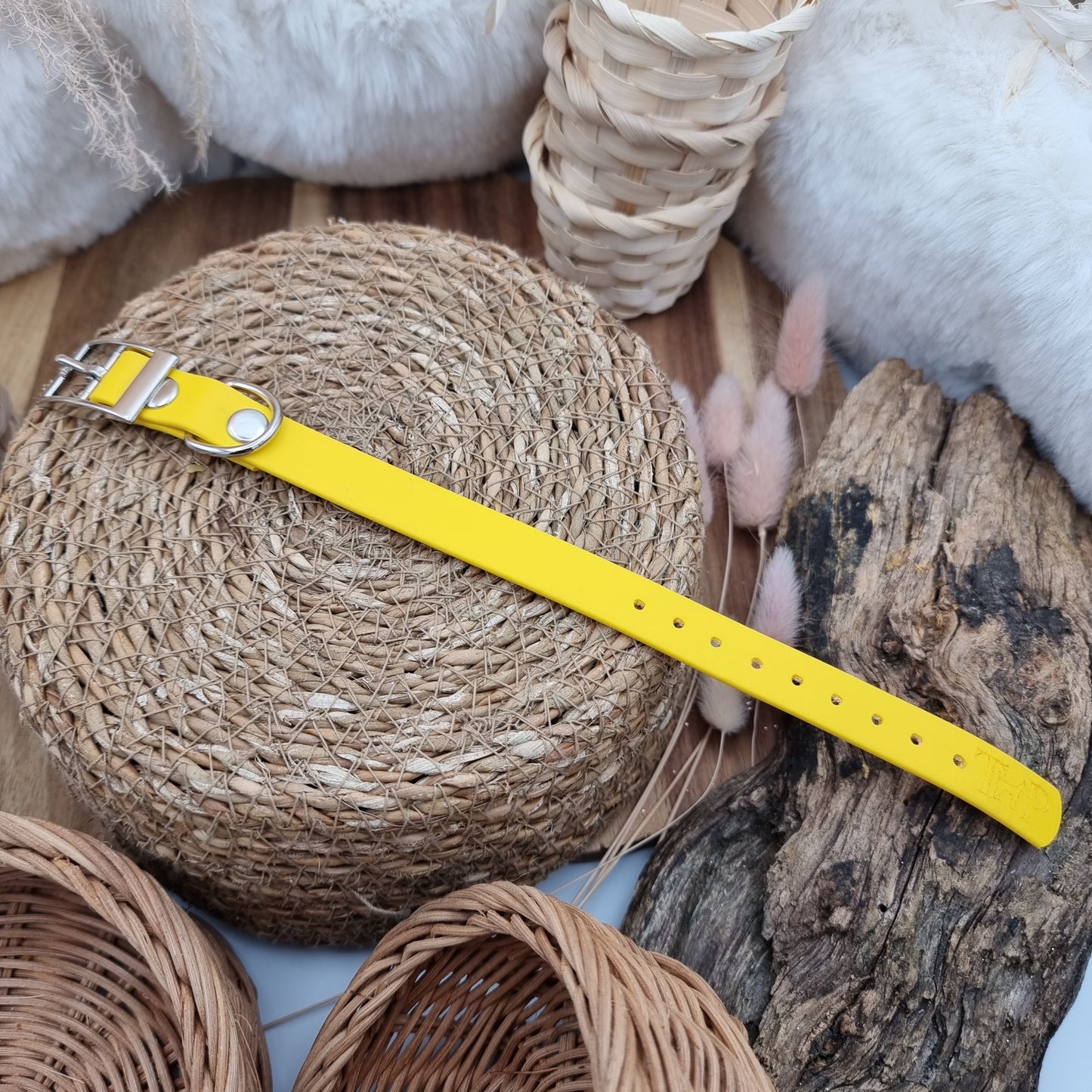 Yellow - Size XXS (16mm) - Mini Biothane Dog Collar