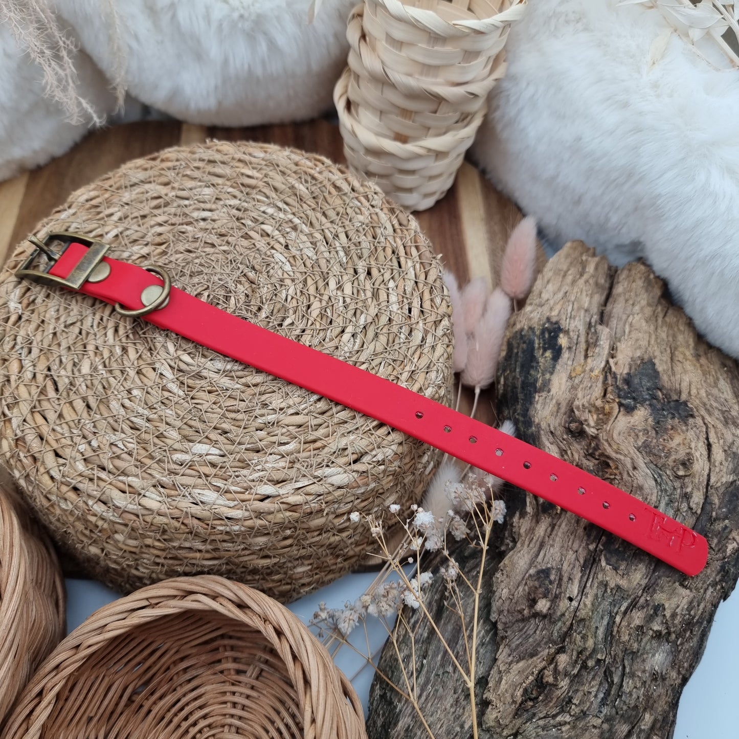 Red - Size XXS (16mm) - Mini Biothane Dog Collar