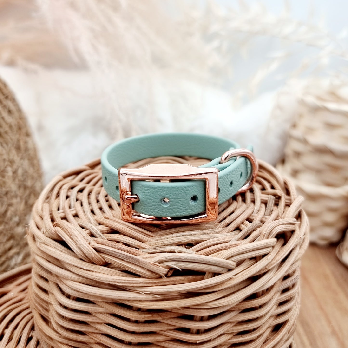 Sage RG- Size XXS (12mm) - Mini Biothane Dog Collar