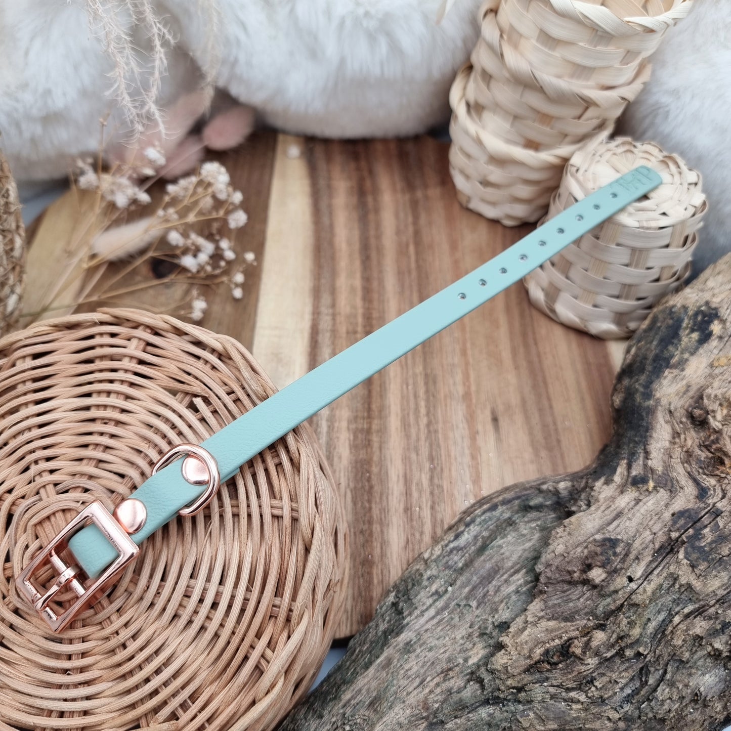 Sage RG- Size XXS (12mm) - Mini Biothane Dog Collar