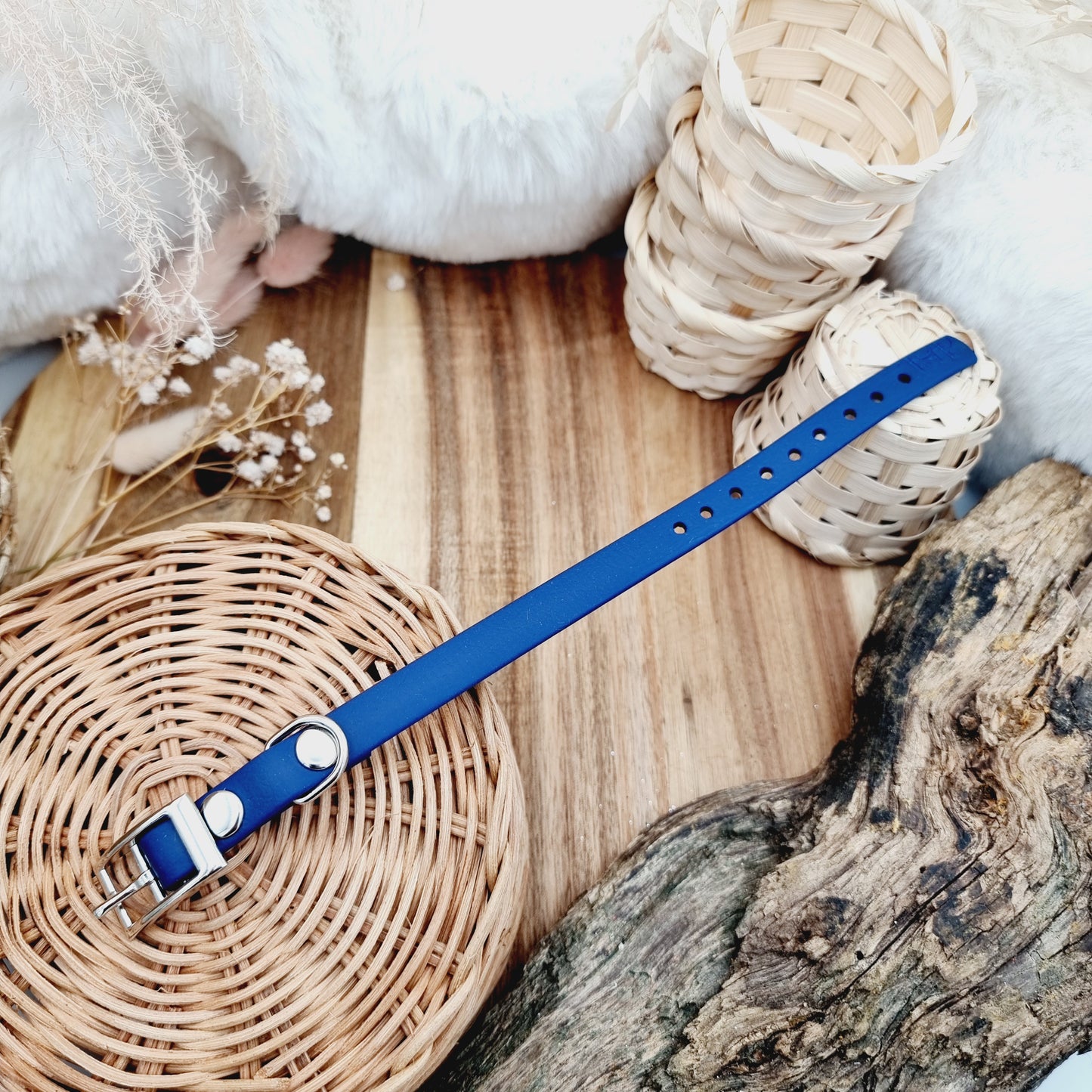 Navy (SI)- Size XXS (12mm) - Mini Biothane Dog Collar