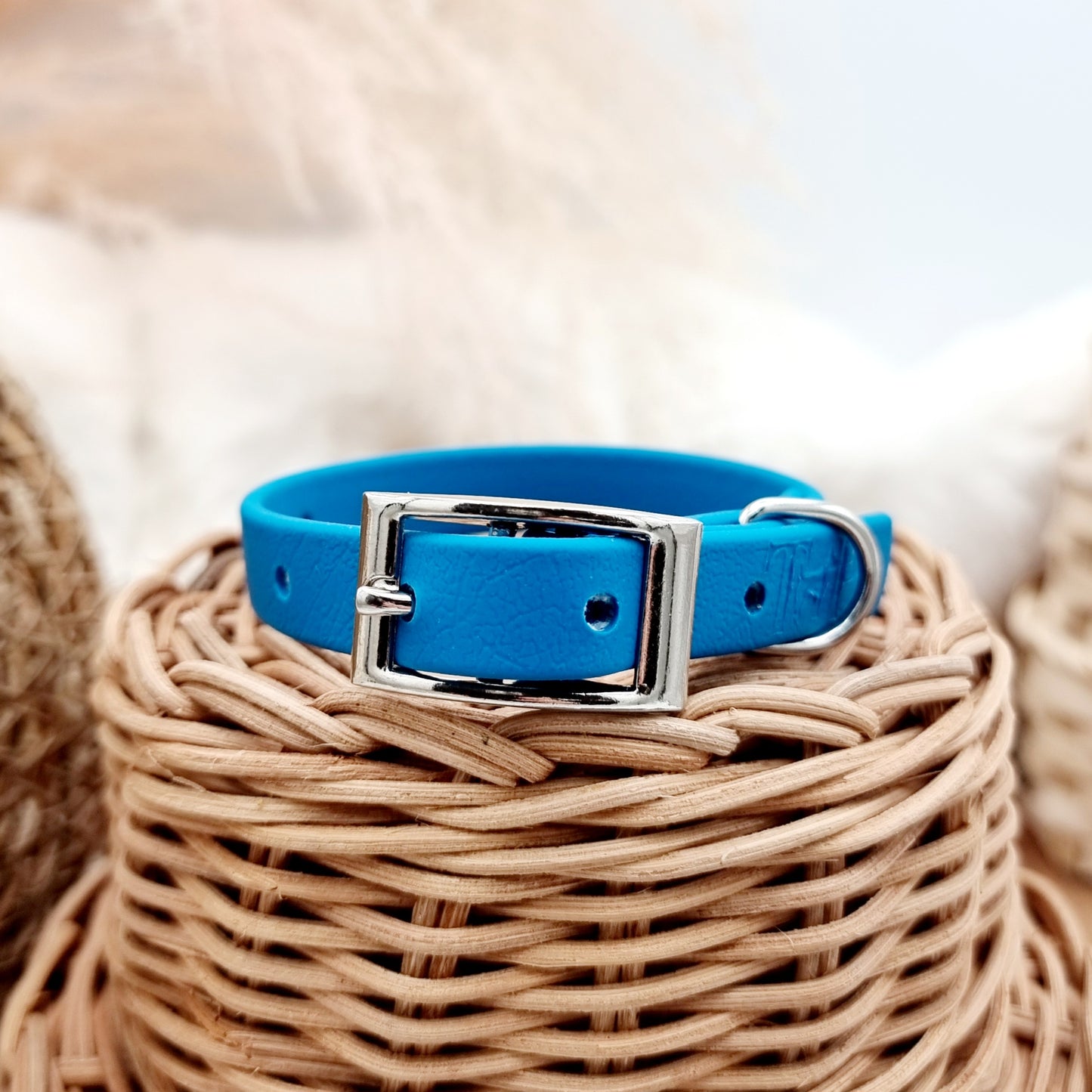 Lagune (SI)- Size XXS (12mm)* - Mini Biothane Dog Collar