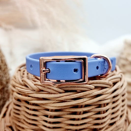 Periwinkle (RG)- Size XXS (12mm)* - Mini Biothane Dog Collar