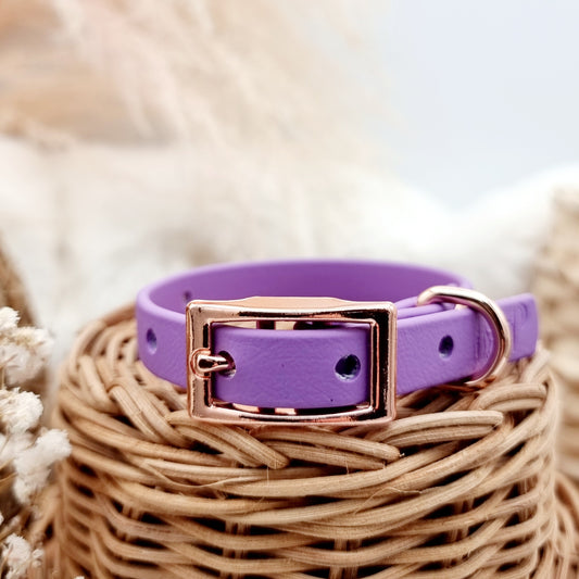 Amethyst (RG)- Size XXS (12mm)* - Mini Biothane Dog Collar