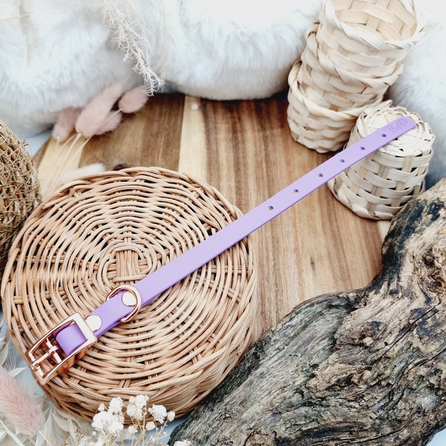 Amethyst (RG)- Size XXS (12mm)* - Mini Biothane Dog Collar