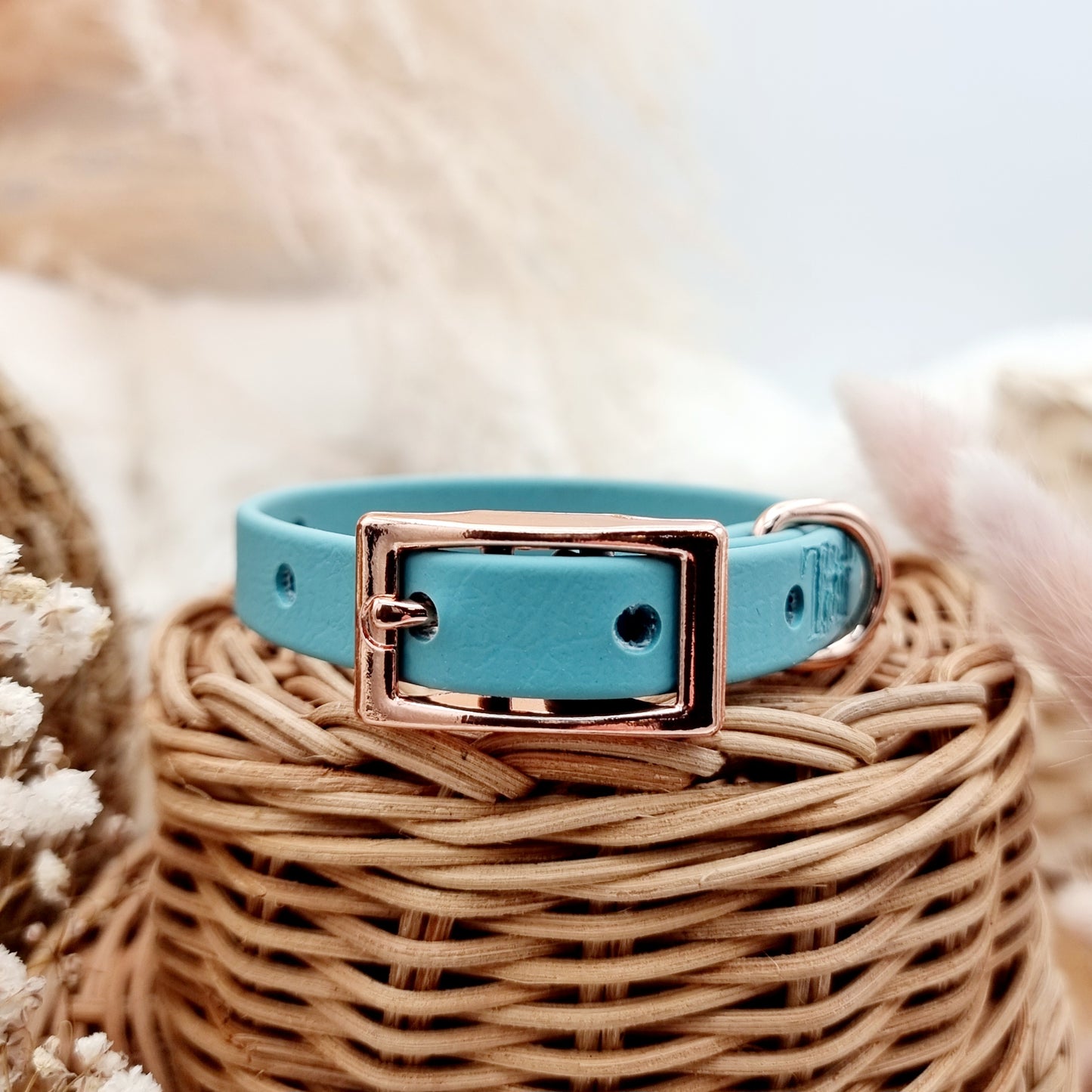 Duckegg (RG)- Size XXS (12mm)* - Mini Biothane Dog Collar