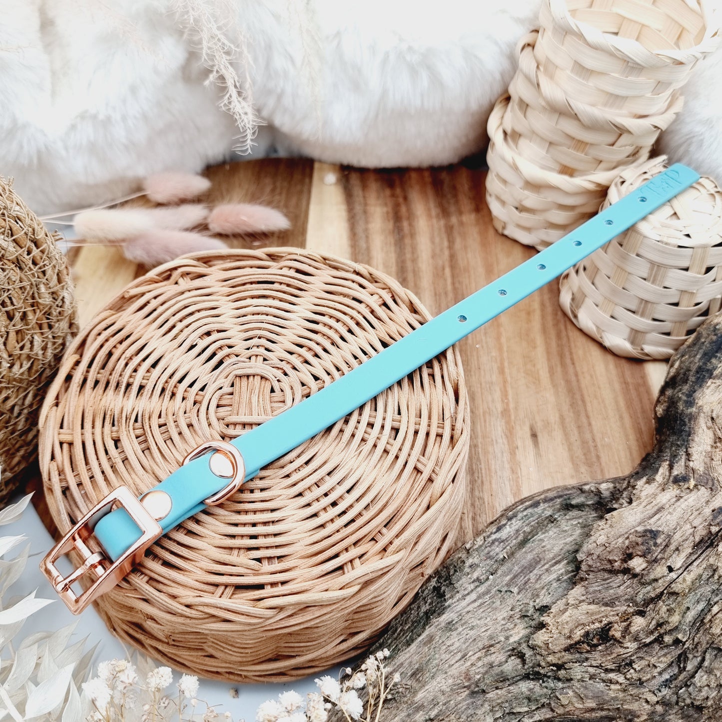 Duckegg (RG)- Size XXS (12mm)* - Mini Biothane Dog Collar