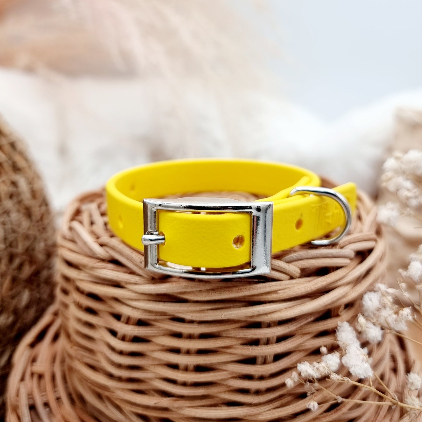 Yellow (SI)- Size XXS (12mm)* - Mini Biothane Dog Collar
